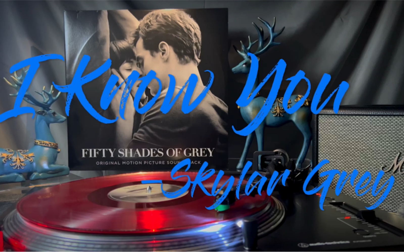 [图]黑胶试听 ‖ I Know You —— Skylar Grey