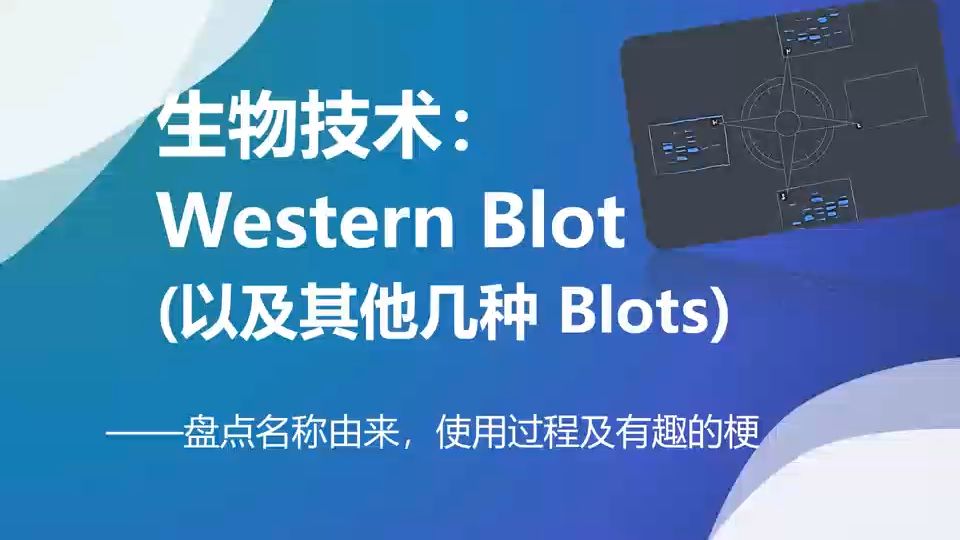 FuLab|Blotting技术科普哔哩哔哩bilibili