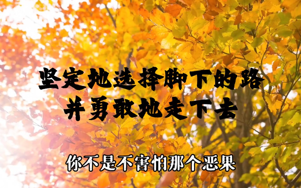 坚定地选择脚下的路,并勇敢地走下去