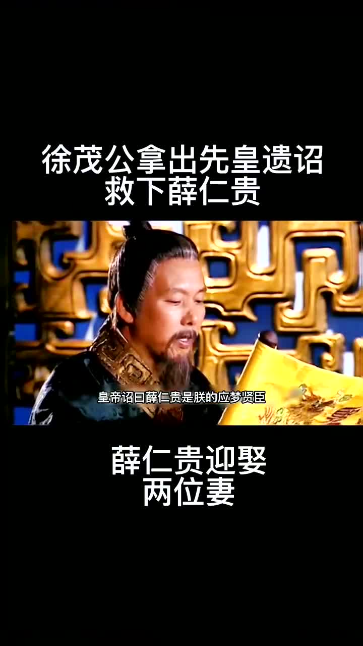 徐茂公拿出先皇遗诏,救下薛仁贵怀旧经典影视薛仁贵传奇哔哩哔哩bilibili