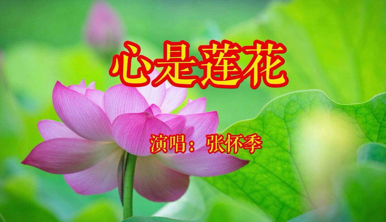 静心好听佛曲《心若莲花》愿您吉祥富贵,福禄寿喜,事事顺心哔哩哔哩bilibili