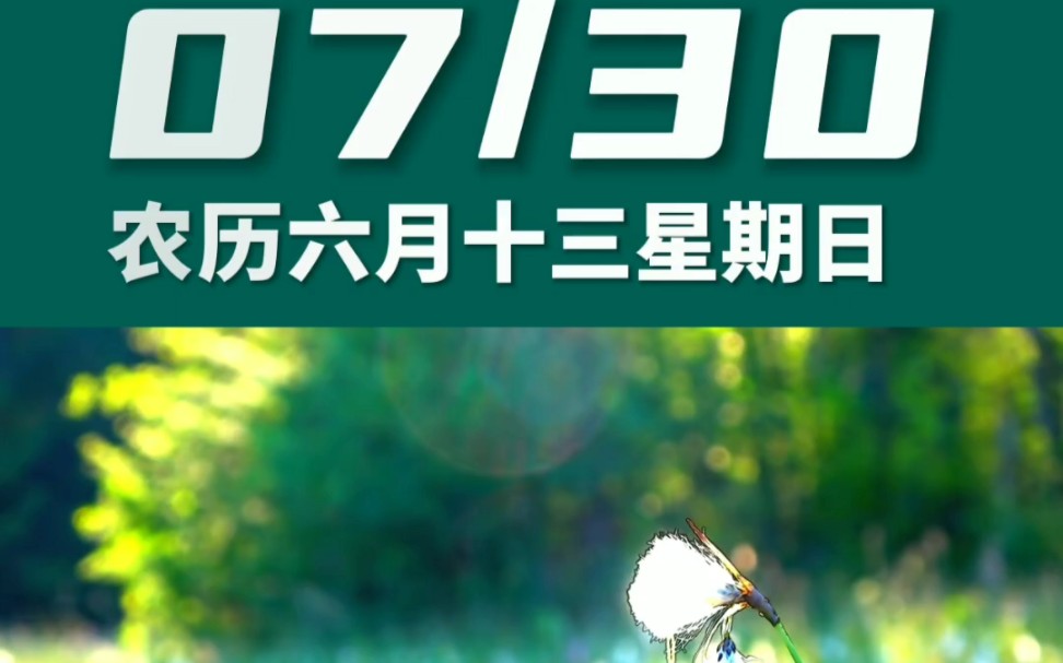 早上好啊今天是2023年7月30日星期日 巨蟹座农历六月十三 己丑日十二建除的破日 朱雀黑道日,喜神在东北 财神在正北幸运数字:9、0哔哩哔哩bilibili