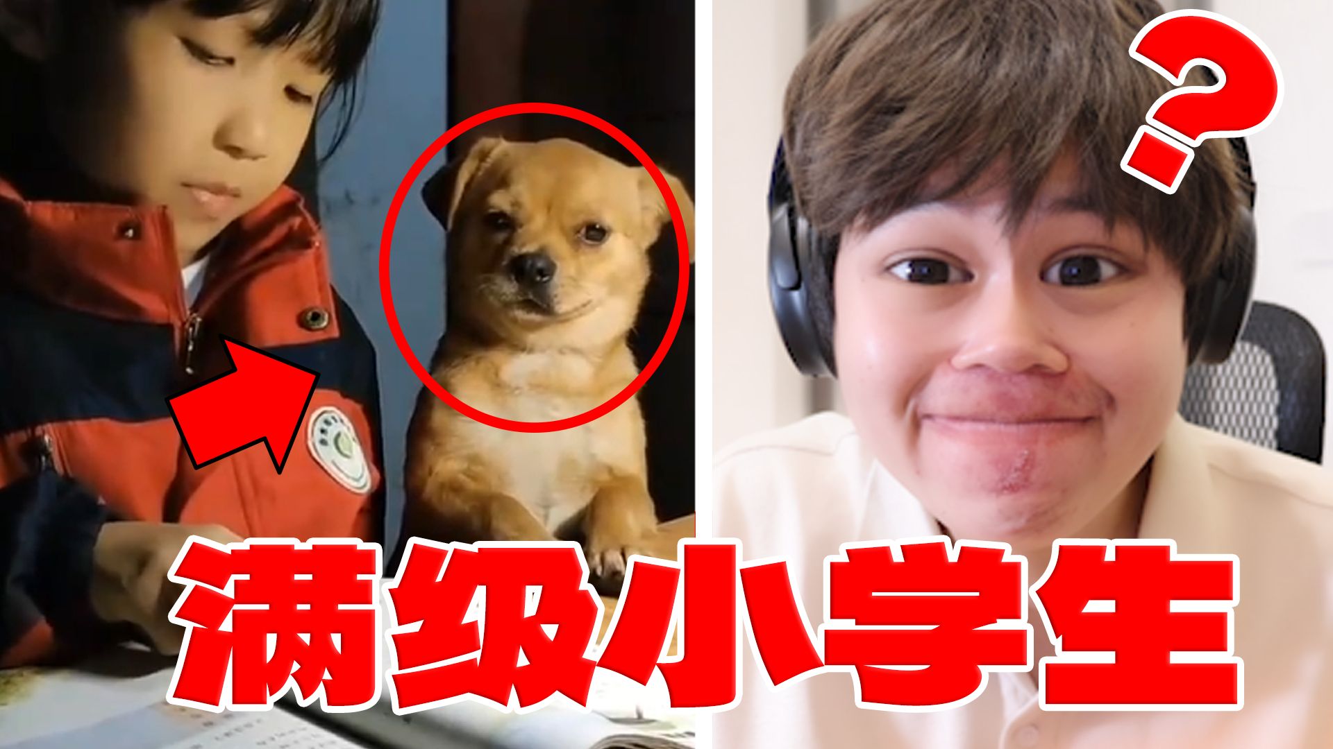 【小学生挑战】离谱！这操作给我整笑了！？-机智的呆狗-机智的呆狗-哔哩哔哩视频