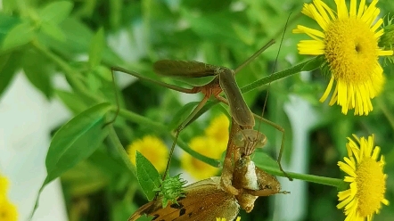 [图]发现大自然的奥秘