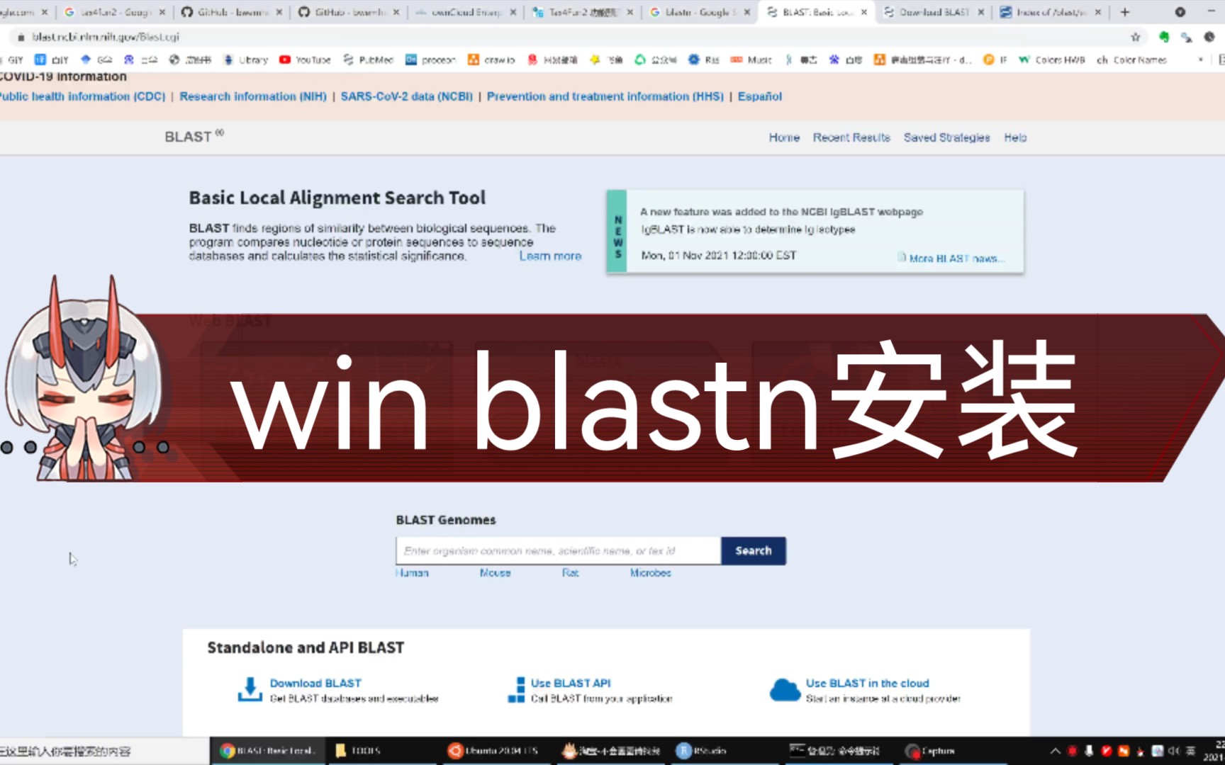 生信基础软件安装win下安装blast blastn 环境变量哔哩哔哩bilibili