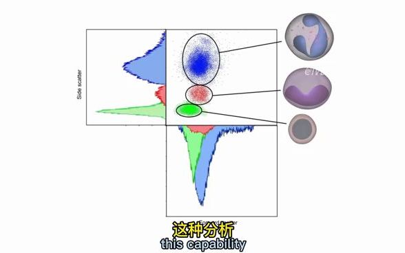 生物、医学研究生分子生物学必会技术——流式细胞术原理哔哩哔哩bilibili