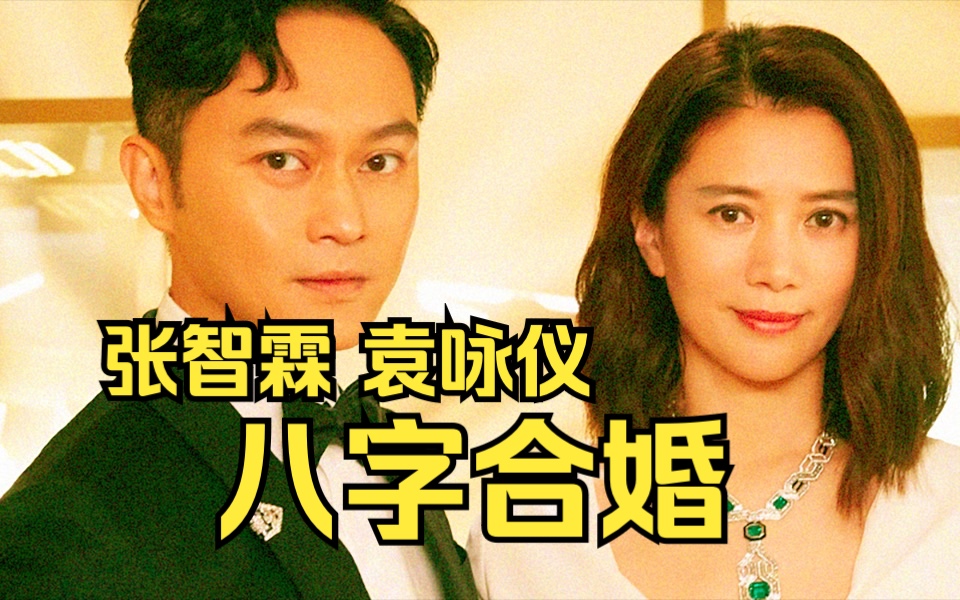 张智霖、袁咏仪八字合婚 | 宠妻狂魔,却有着同年同月生的明星妻子,该如何用天干地支评价两人的夫妻关系? | 力总说八字命理哔哩哔哩bilibili