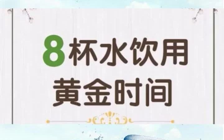 好水小课堂(4)你知道一天喝八杯水的黄金时间吗?哔哩哔哩bilibili