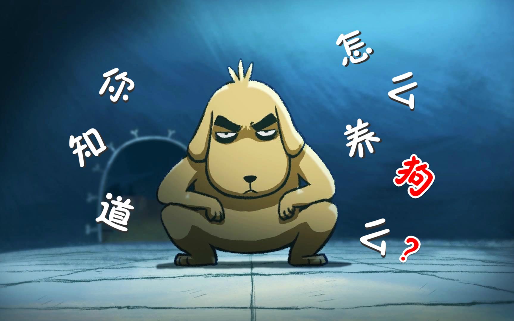【刺客伍六七】大概是鬼畜·你知道要如何养狗吗?_哔哩哔哩_bilibili