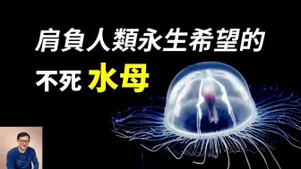 世界上唯一能逆生長的動物，竟然是大家熟悉的水母！它能讓人類實現永生嗎？