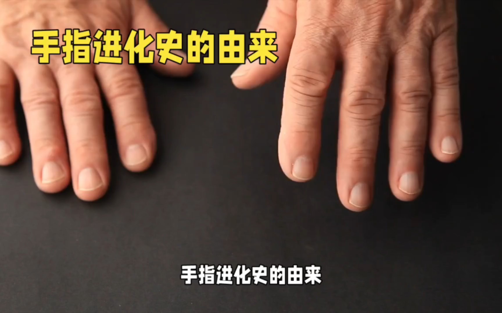 真是大开眼界:一根手指的进化史,展示了恐龙的诞生和灭绝到人类的诞生