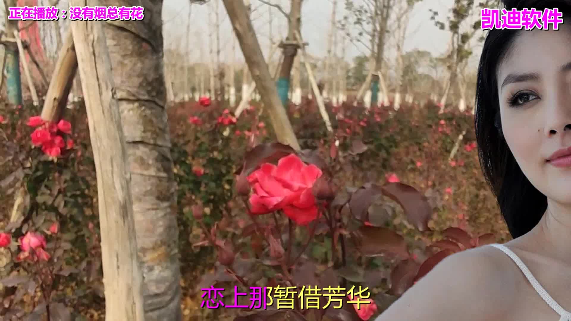 [图]经典老歌《没有烟总有花》词曲入心扉，听哭多少人