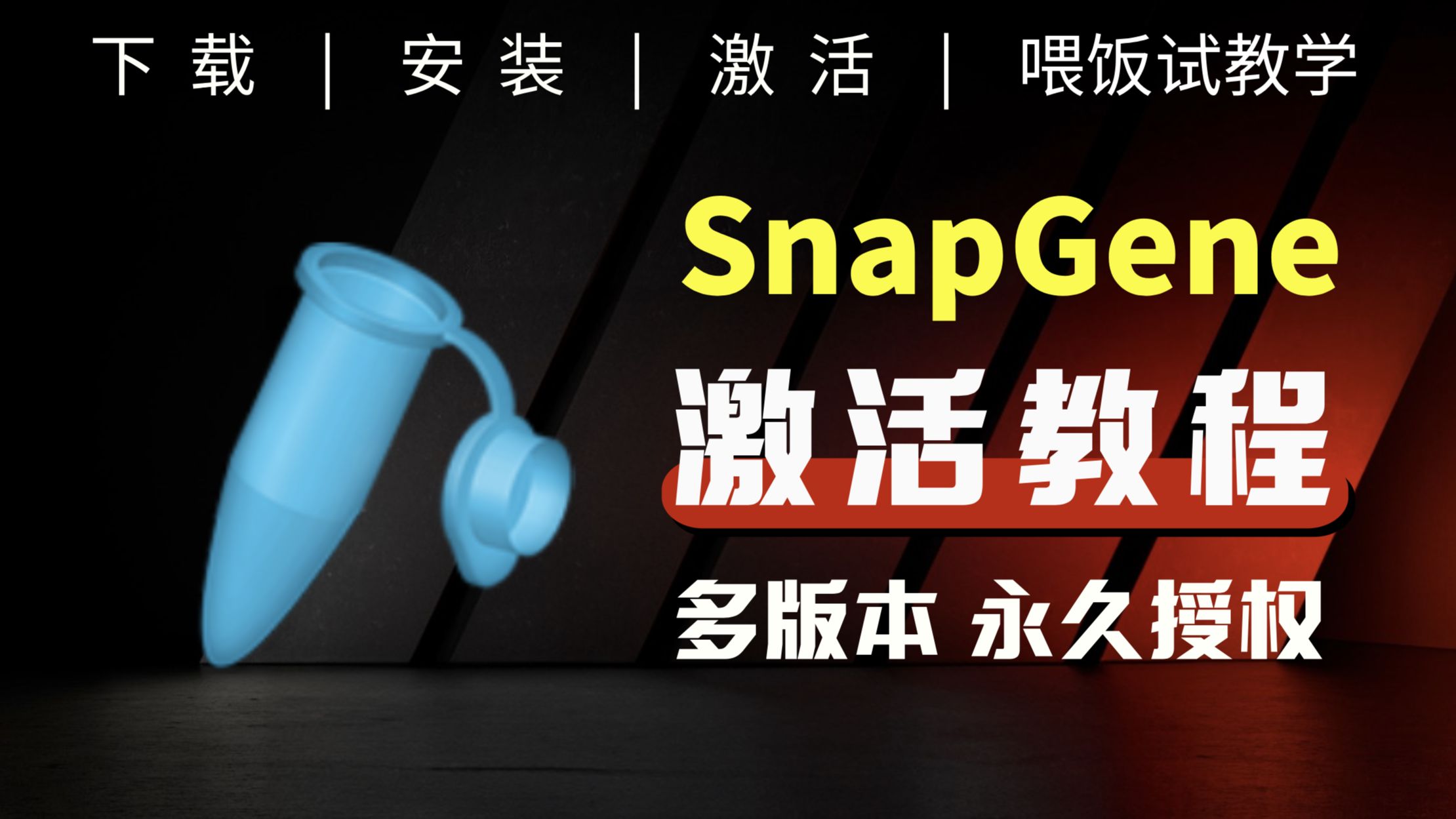 Snapgene授权 Snapgene合集Snapgene安装包Snapgene破解版Snapgene免费下载 Snapgene最新版 Snapgene安装教程哔哩哔哩bilibili