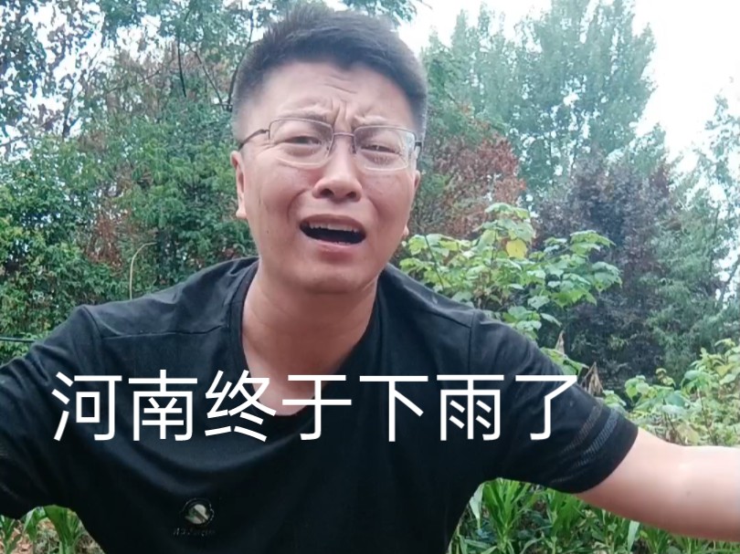 河南终于下雨了,老百姓的庄稼有救了,再下的大点吧!哔哩哔哩bilibili