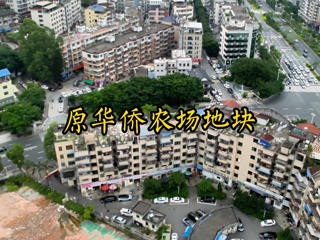 华侨农场旧址将新建东侨开发区社区医院