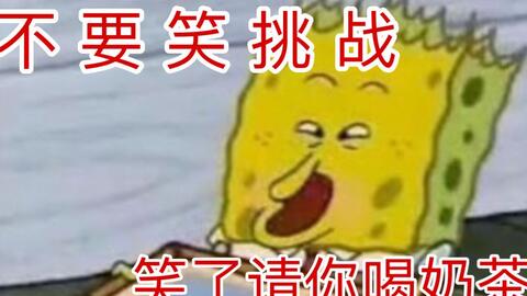 搜索 哔哩哔哩 つロ干杯 Bilibili