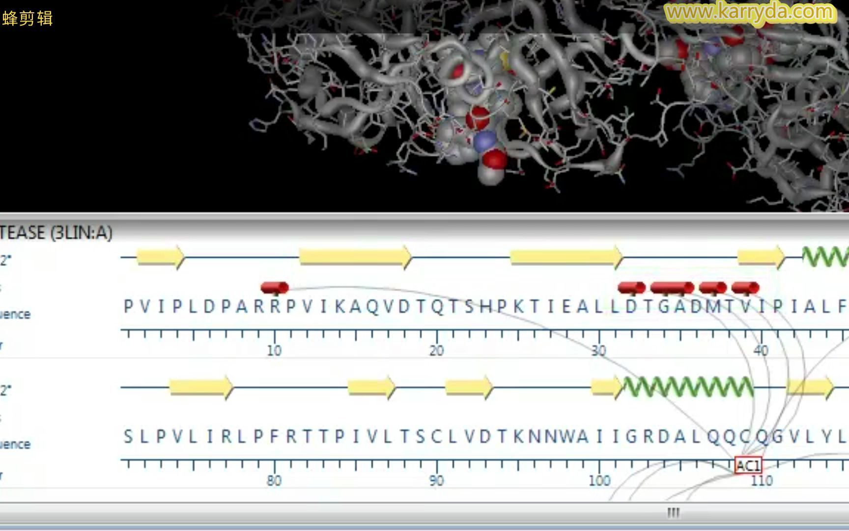 DNASTAR  An Introduction to Protean 3D凯锐达(珠海)科技有限公司总代理哔哩哔哩bilibili