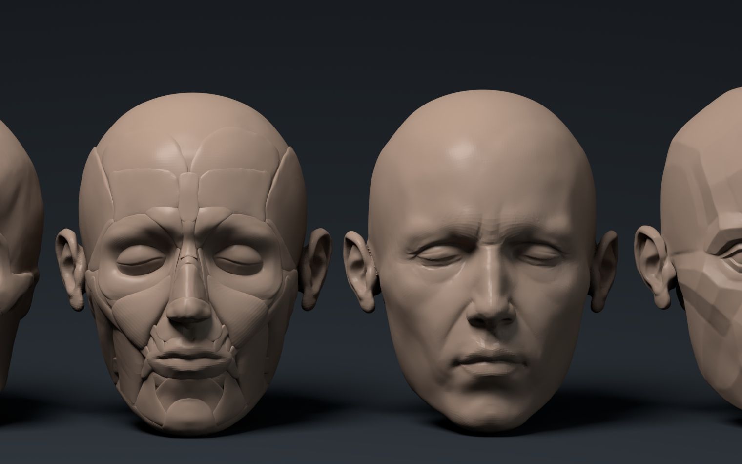 zbrush全方位人头结构精讲-aboutcg教程