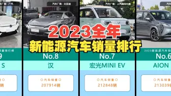 2023年度榜单-新能源汽车销量排行榜