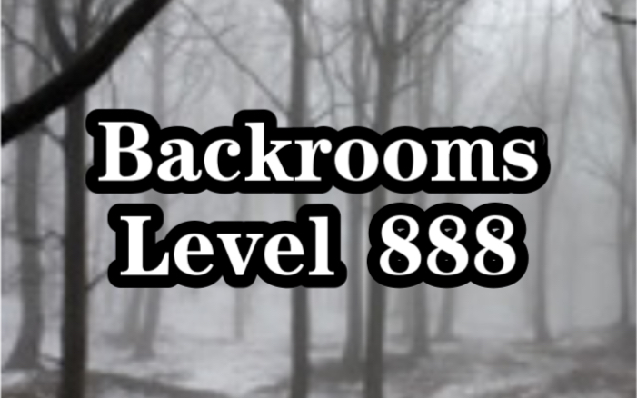 Level 888 - The Backrooms