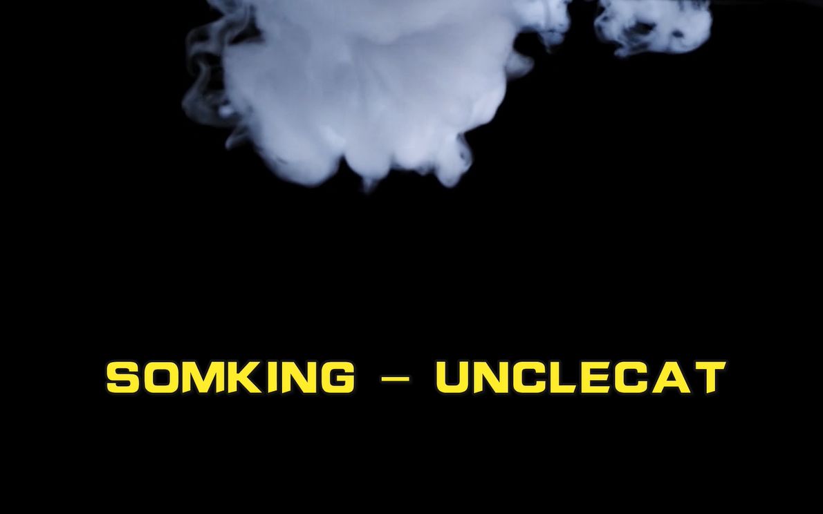 SOMKING  UNCLECAT【LYRIC VIDEO】哔哩哔哩bilibili