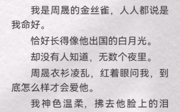 我是周晟的金丝雀,人人都说是我命好.恰好长得像他出国的白月光.却没有人知道,无数个夜里.周晟衣衫凌乱,红着眼问我,到底怎么样才会爱他.我神...