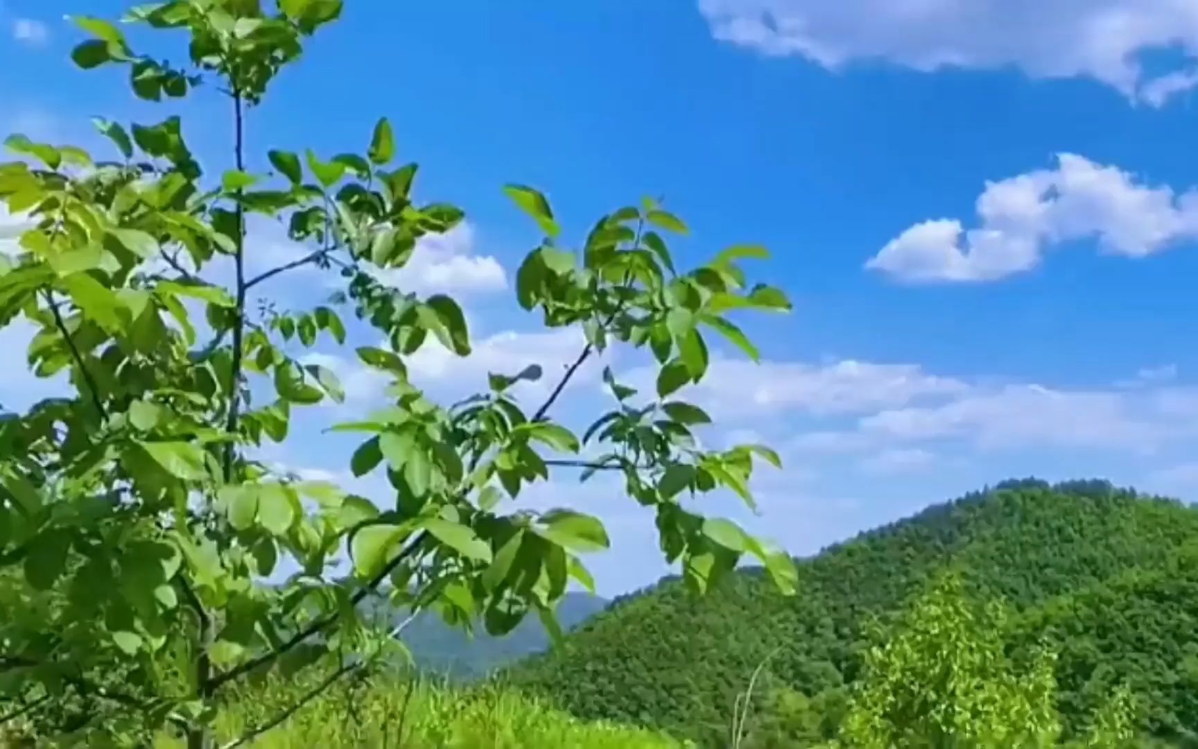 [图]青山看不厌，流水趣何长，大自然的山水风景，美在山水间