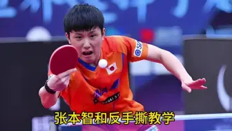 张本智和反手撕教学，小巧犀利，近台压制！