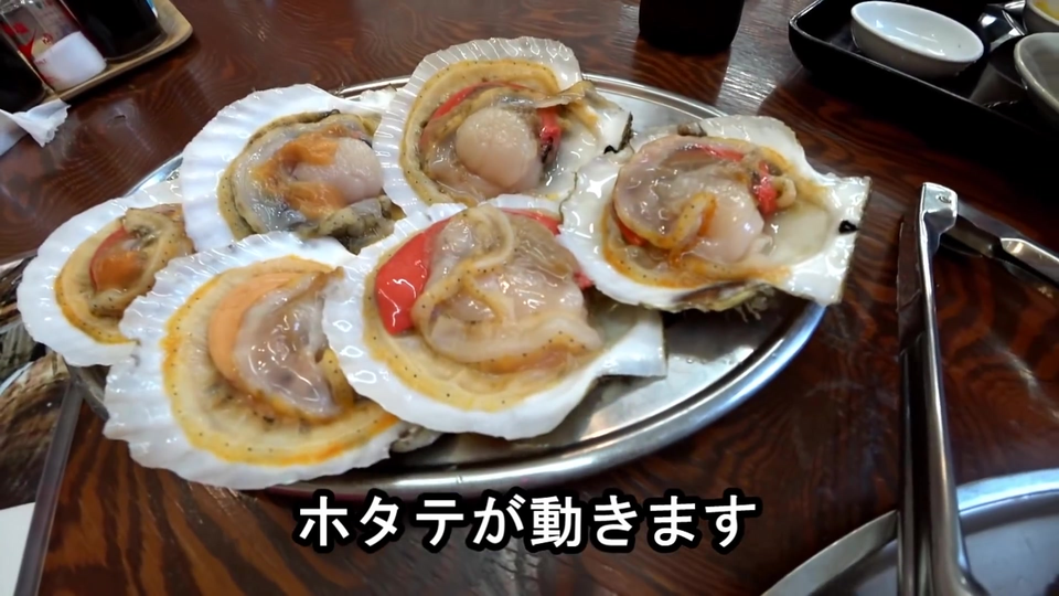 啤酒怪 小梦去过的日本青森帆立小屋 500日元自己钓扇贝吃 爽啊 哔哩哔哩 Bilibili
