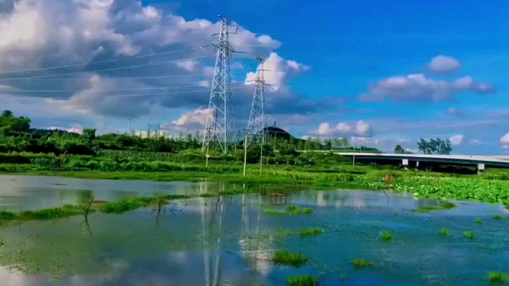 有时风景是一种心情,有时心情是一种风景,愿心中有风景,所遇皆美好哔哩哔哩bilibili