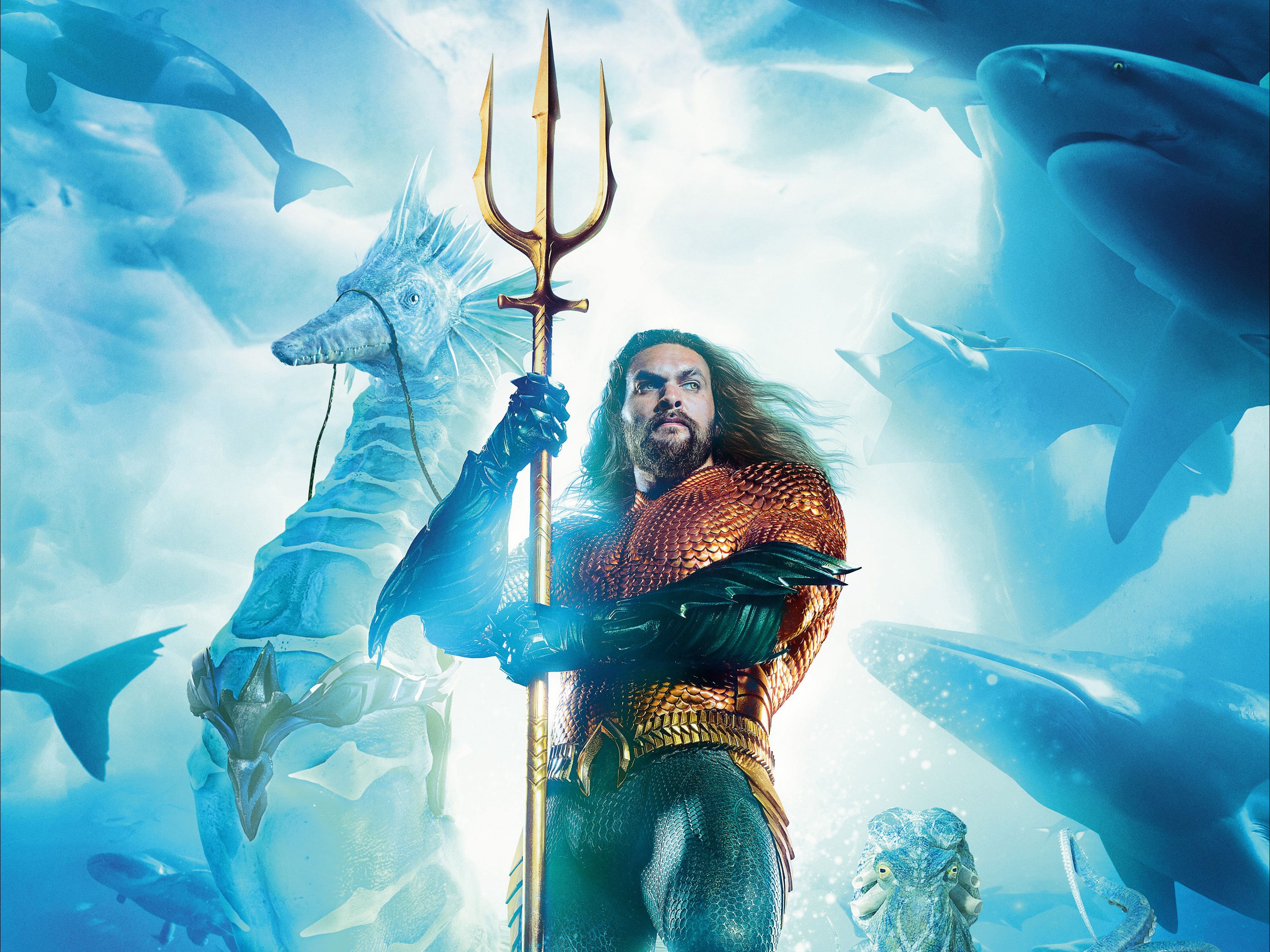 海王说中文:家人们!