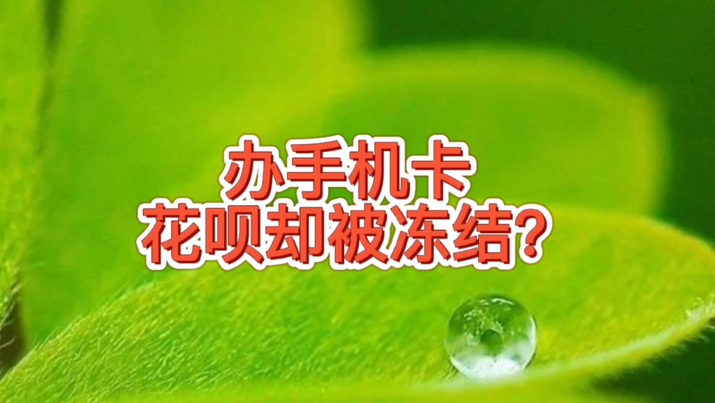 办了一张手机卡花呗却被冻结了,咋回事呢?是被骗了吗?如何解决哔哩哔哩bilibili