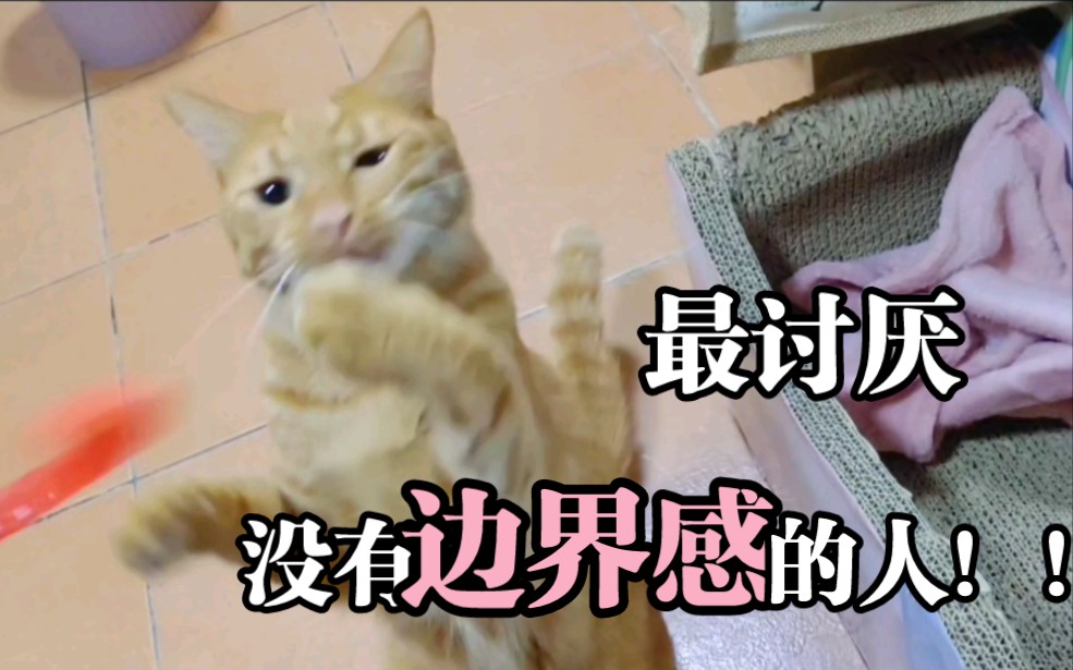 我小猫咪最讨厌没有边界感的人