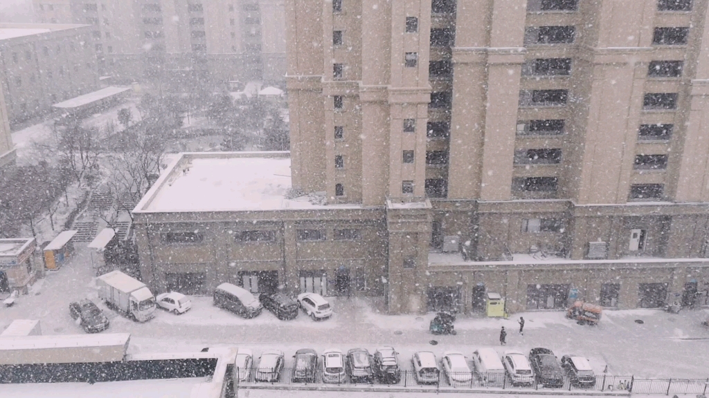 [图]浮云柳絮 纷纷吹落