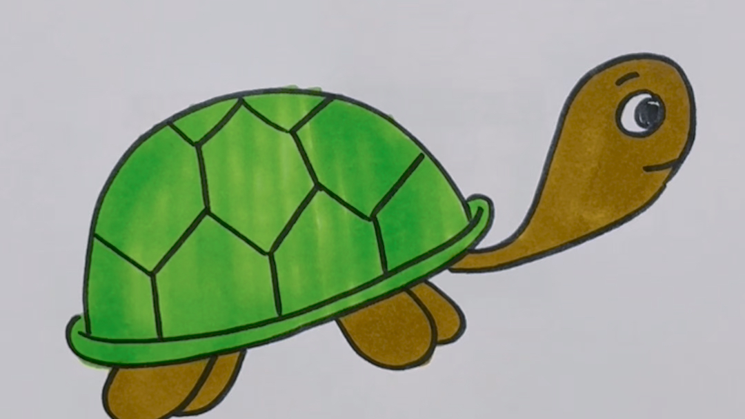 小乌龟简笔画
