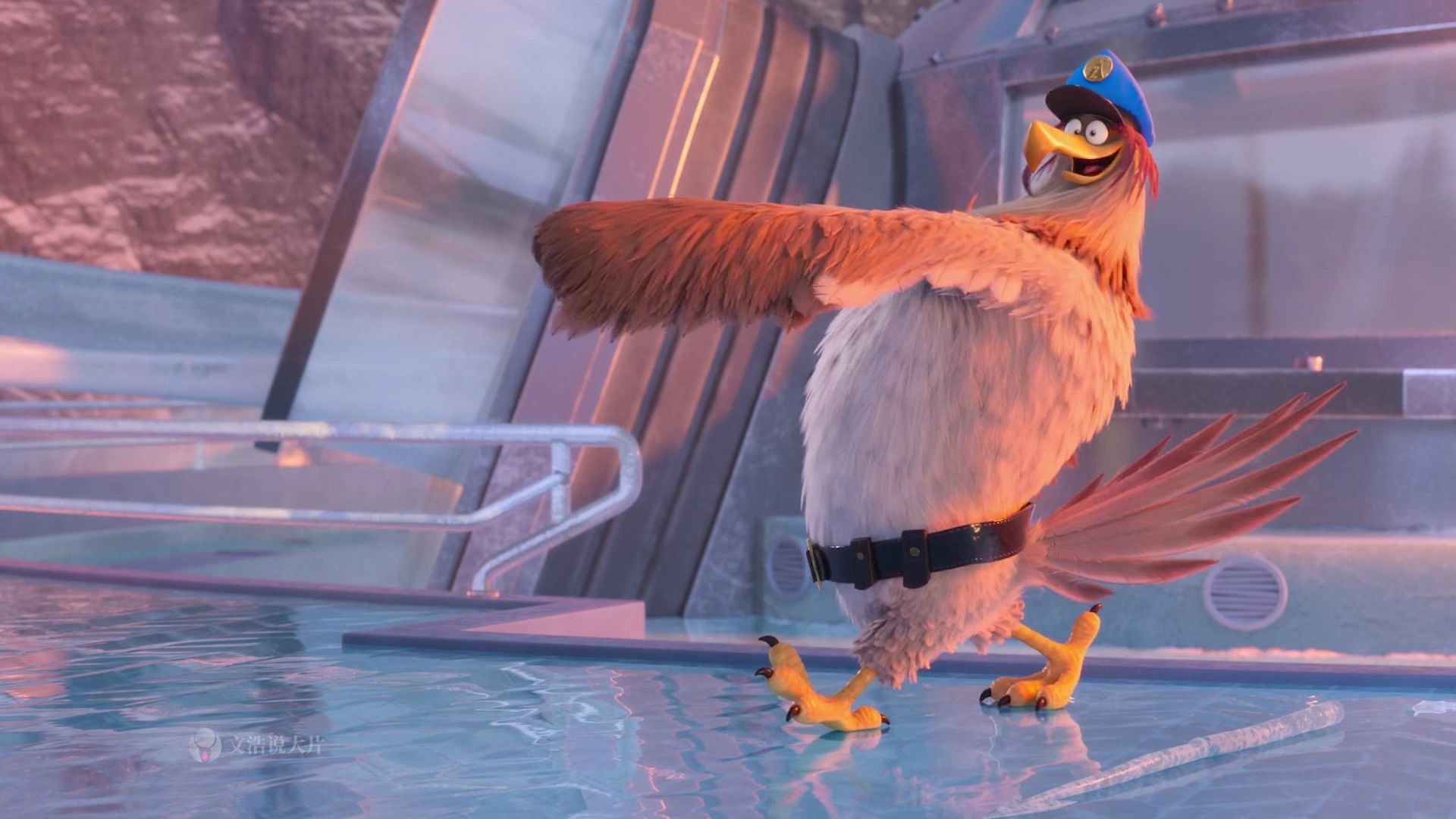 愤怒的小鸟这动画片的设计师真是天才两只鸟尬舞画风太搞笑