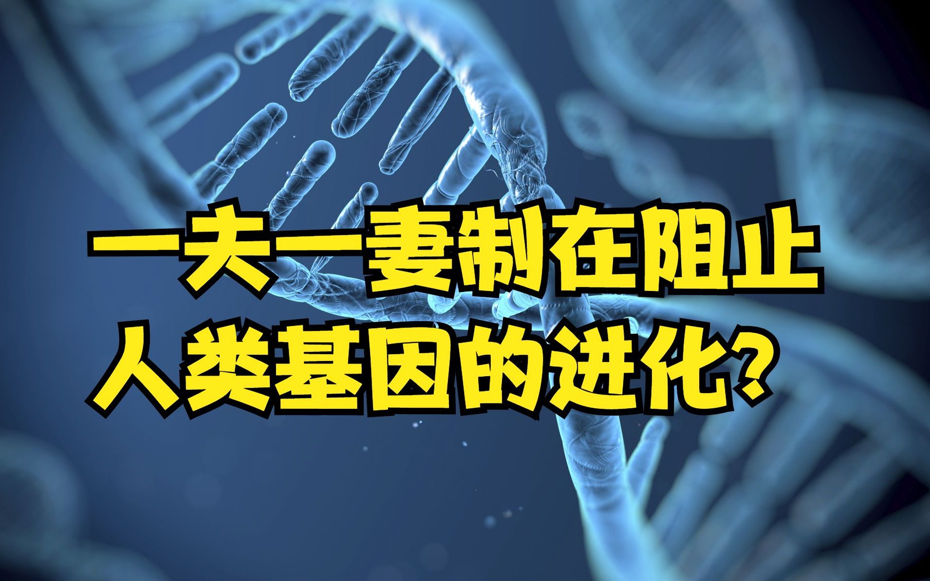 [图]1夫1妻制阻止人类基因进化？优胜劣汰是基本规律，弱者应该被淘汰