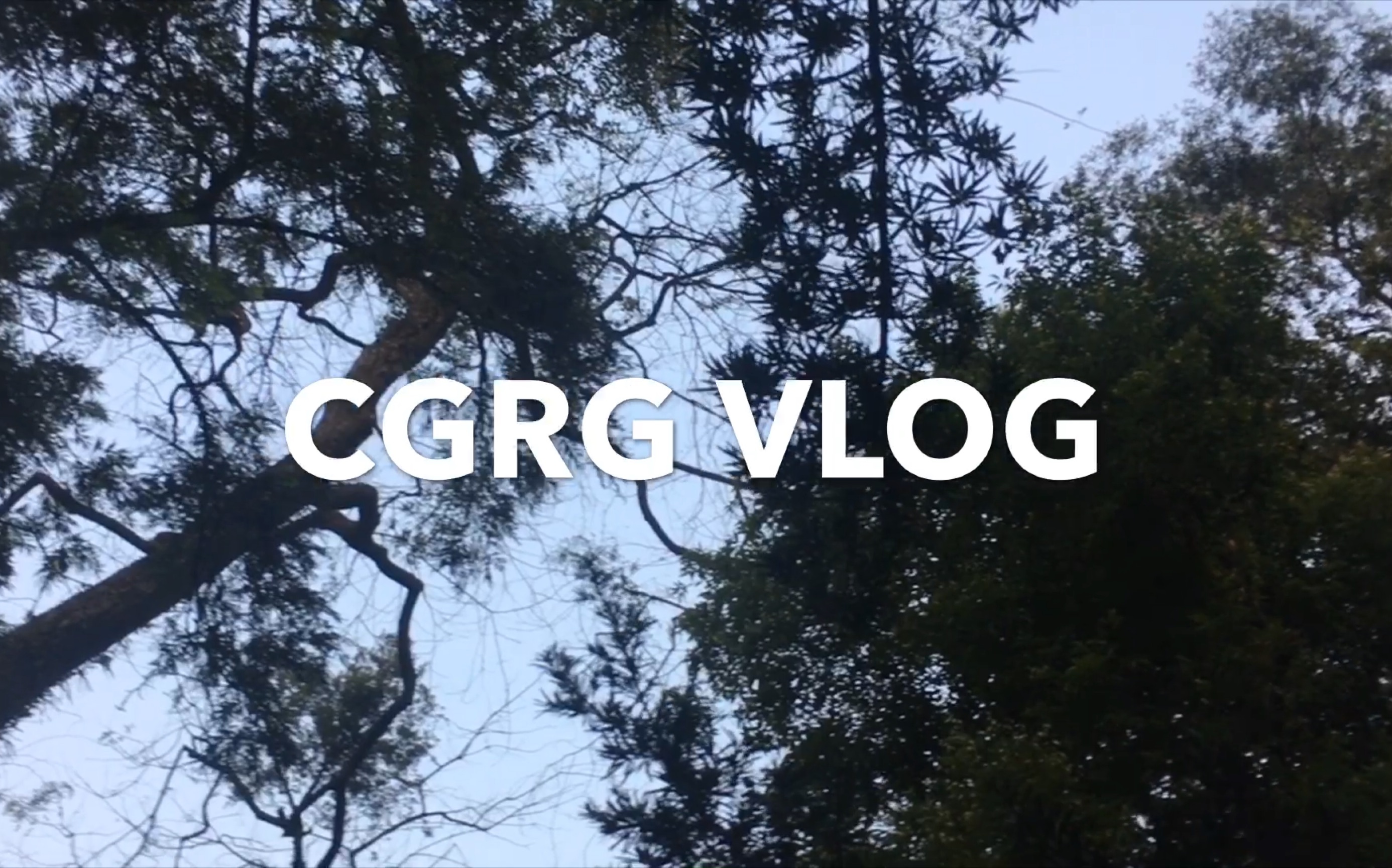 【CGRG VLOG】国际政治专业的日常哔哩哔哩bilibili