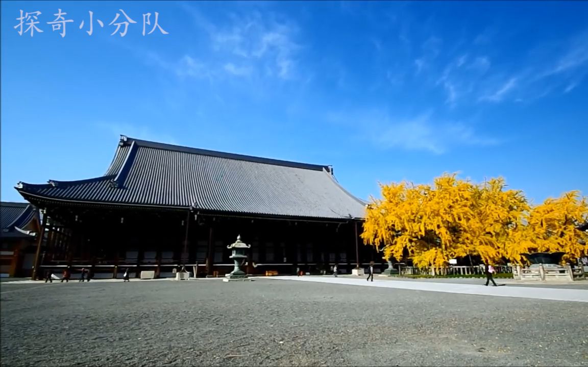 这3个河南信阳最美的县城,汇集了南北山水精华,你去过几个?哔哩哔哩bilibili