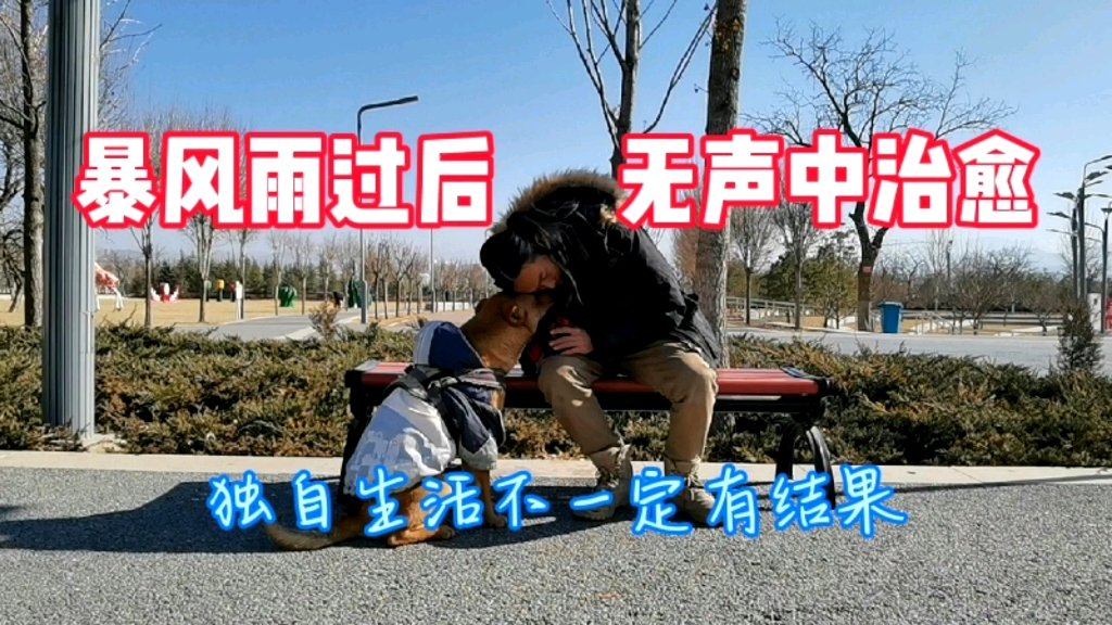 有些伤痛,需要在无声中默默治愈