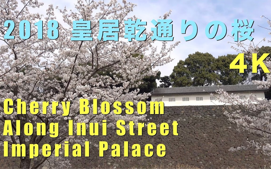 [图]4K 樱花 皇居乾通 Cherry Blossoms Along Inui Street In The Imperial Palace