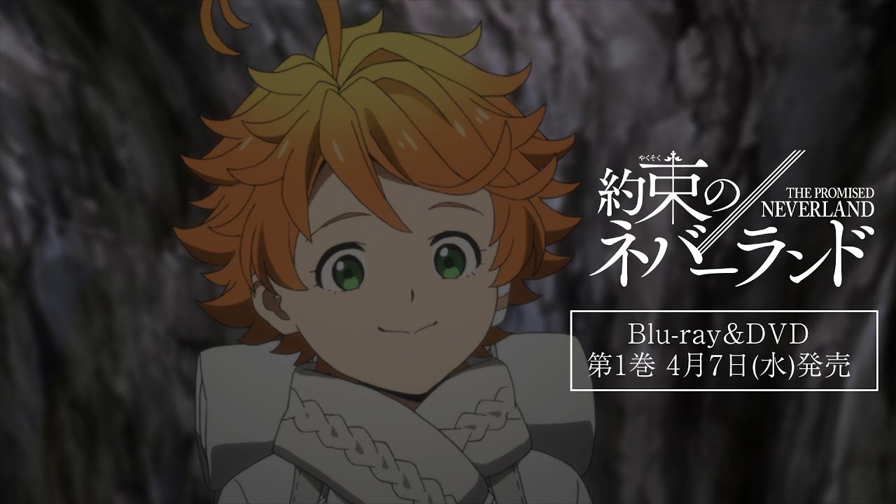 tv动画约定梦幻岛第二季bd第1卷发售决定预告