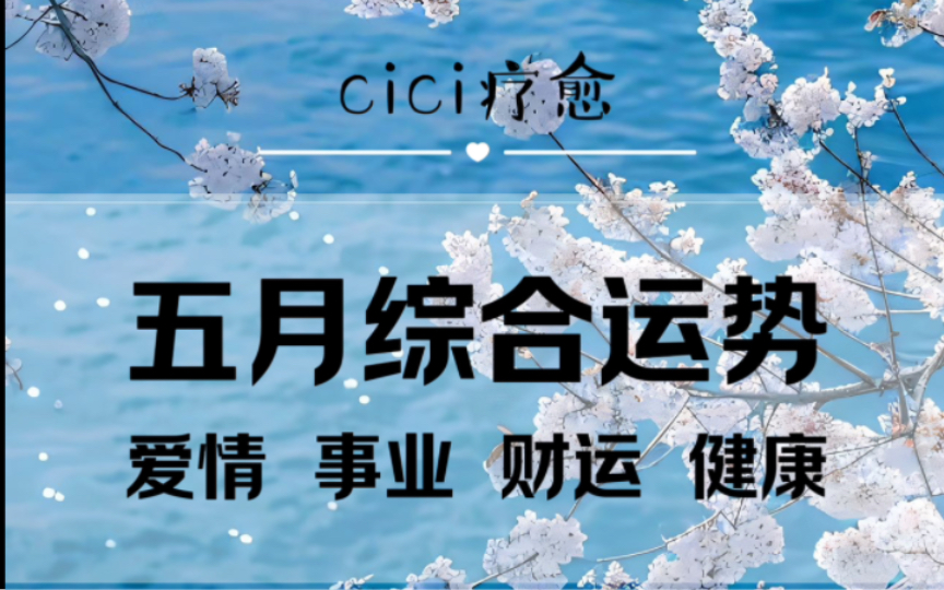 【cici疗愈】这个五月,你会迎来哪些信心?爱情,事业,健康,财运综合解读.!哔哩哔哩bilibili