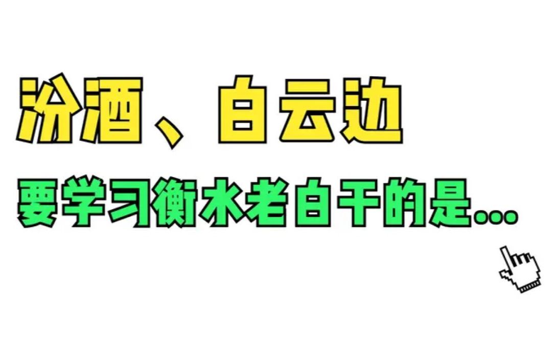 定位体系开创者鲁建华:汾酒、白云边要学习衡水老白干的是...哔哩哔哩bilibili