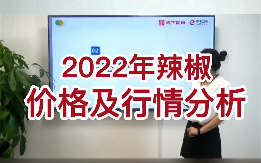 2022年辣椒价格及行情分析哔哩哔哩bilibili