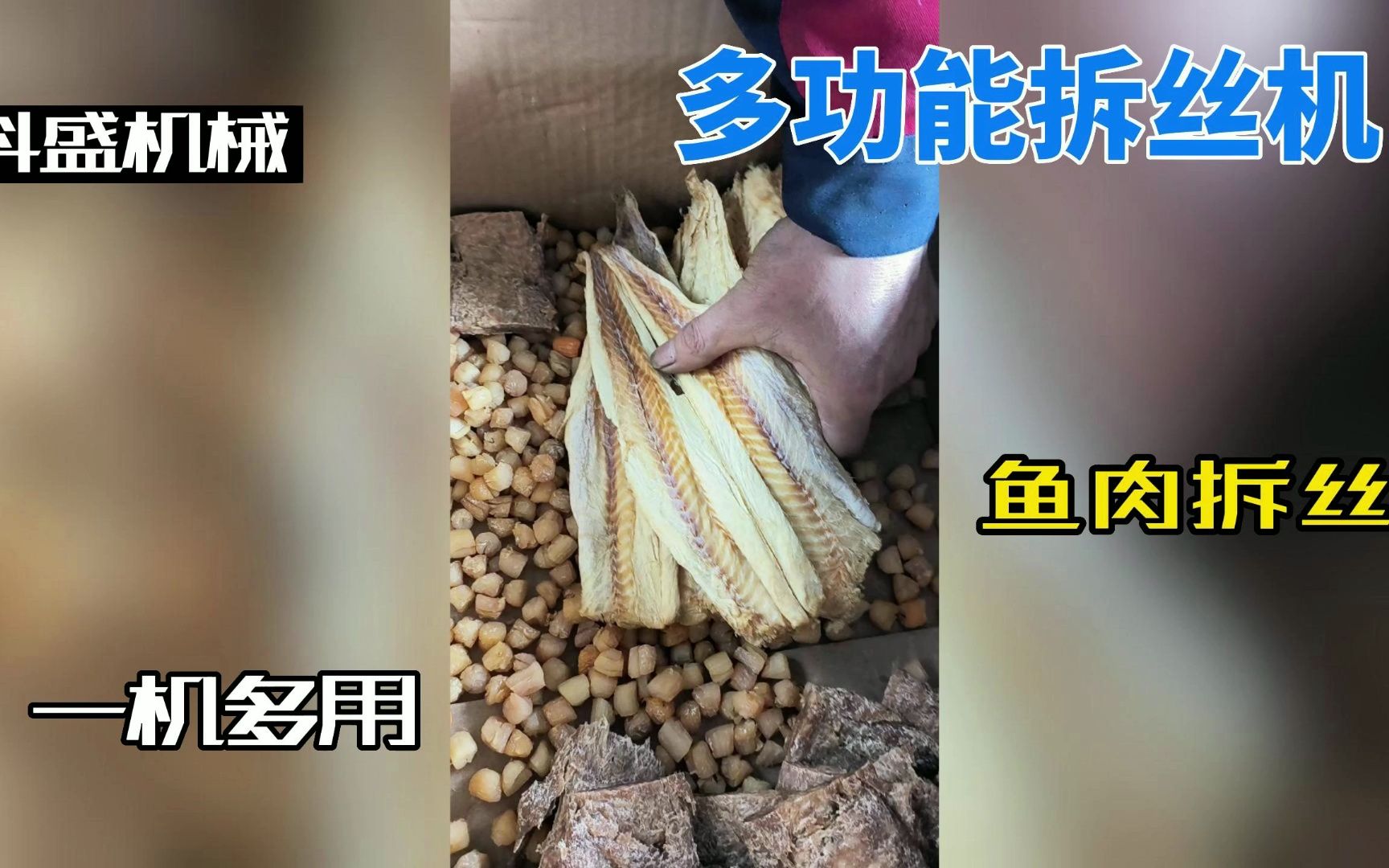 鳕鱼明太鱼鱼肉拆丝机 元贝打丝机 鸡胸肉拆丝机 大豆蛋白拉丝机 多功能拉丝机哔哩哔哩bilibili