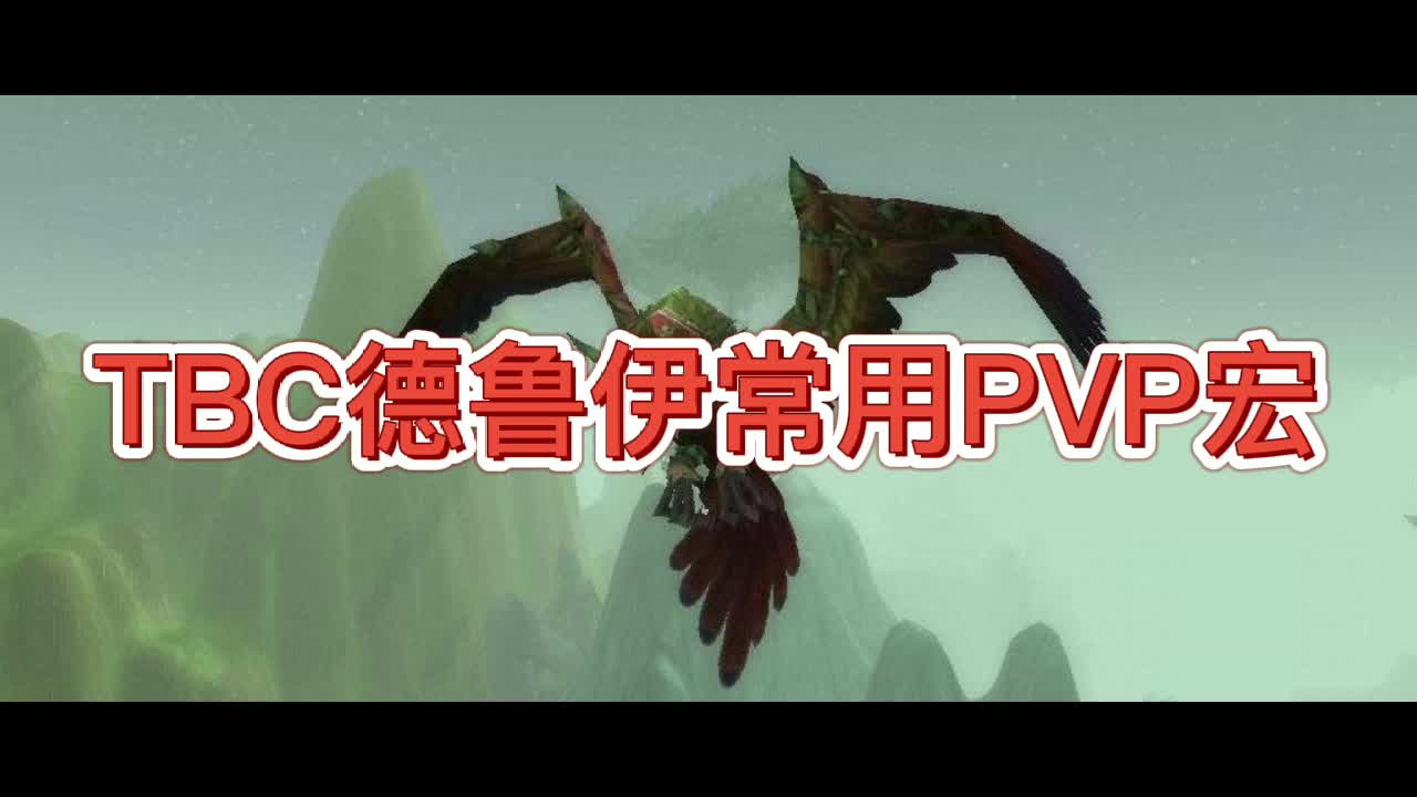 德鲁伊TBC常用PVP宏哔哩哔哩bilibili魔兽世界