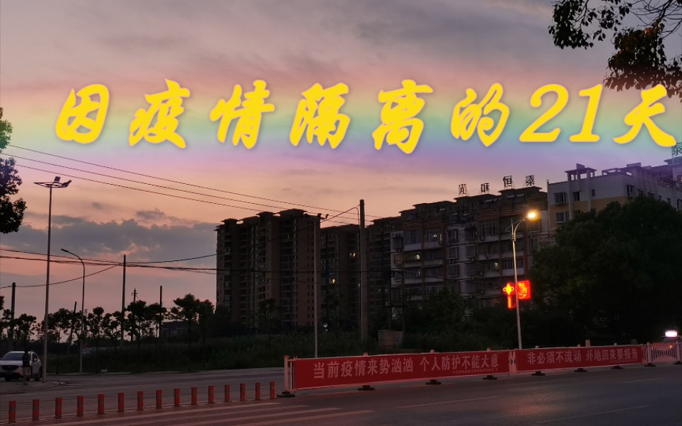 [图]《被疫情隔离的21天》 隔离非我愿，但愿海波平。✊