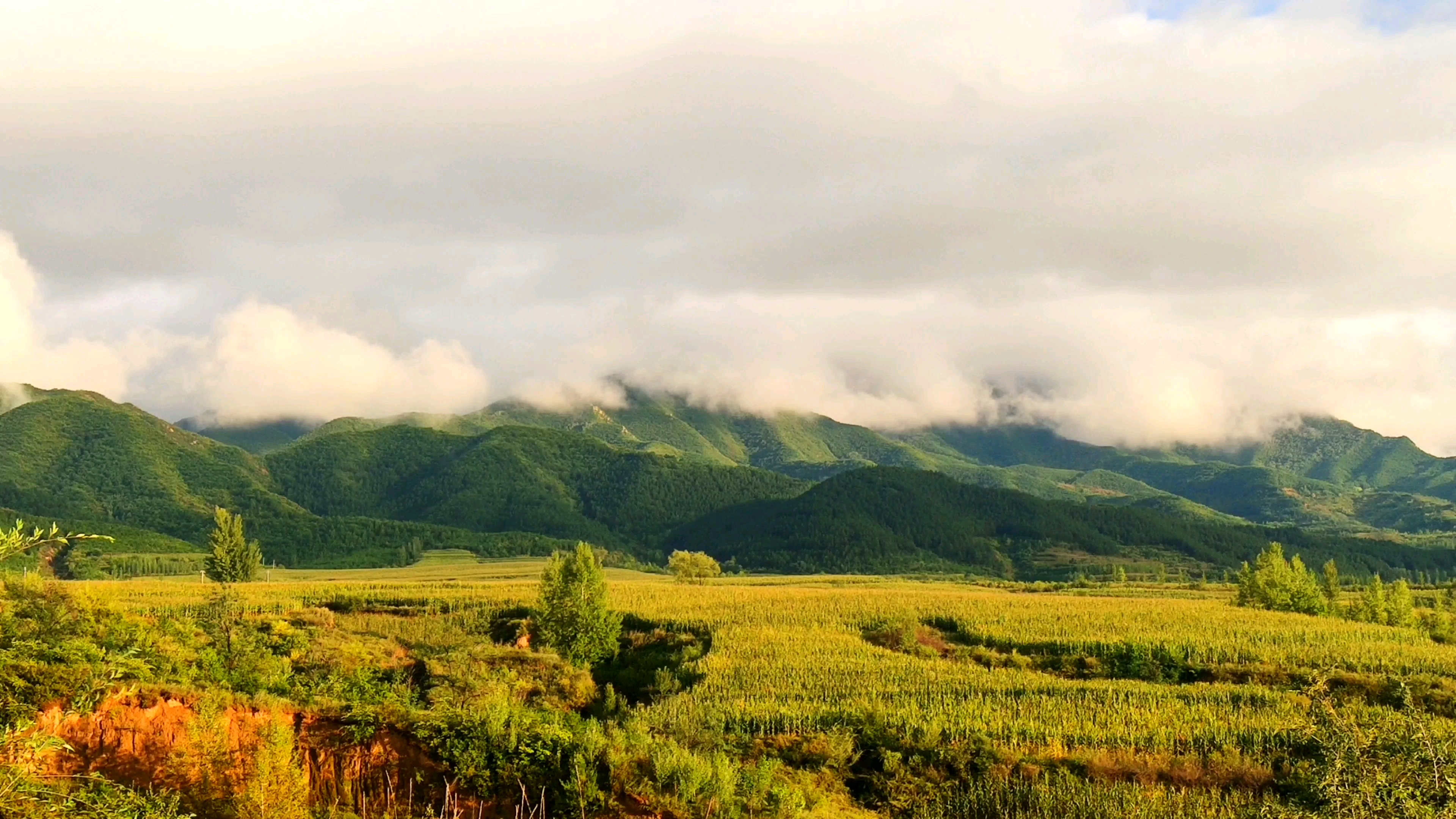 【延时摄影】金色的阳光洒在田野,照在山间