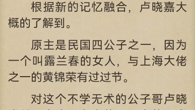 [图]今日头条《民国大乱斗》卢晓嘉小说在线阅读